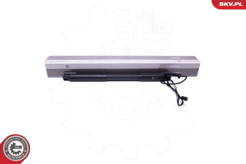 Electric Motor, tailgate